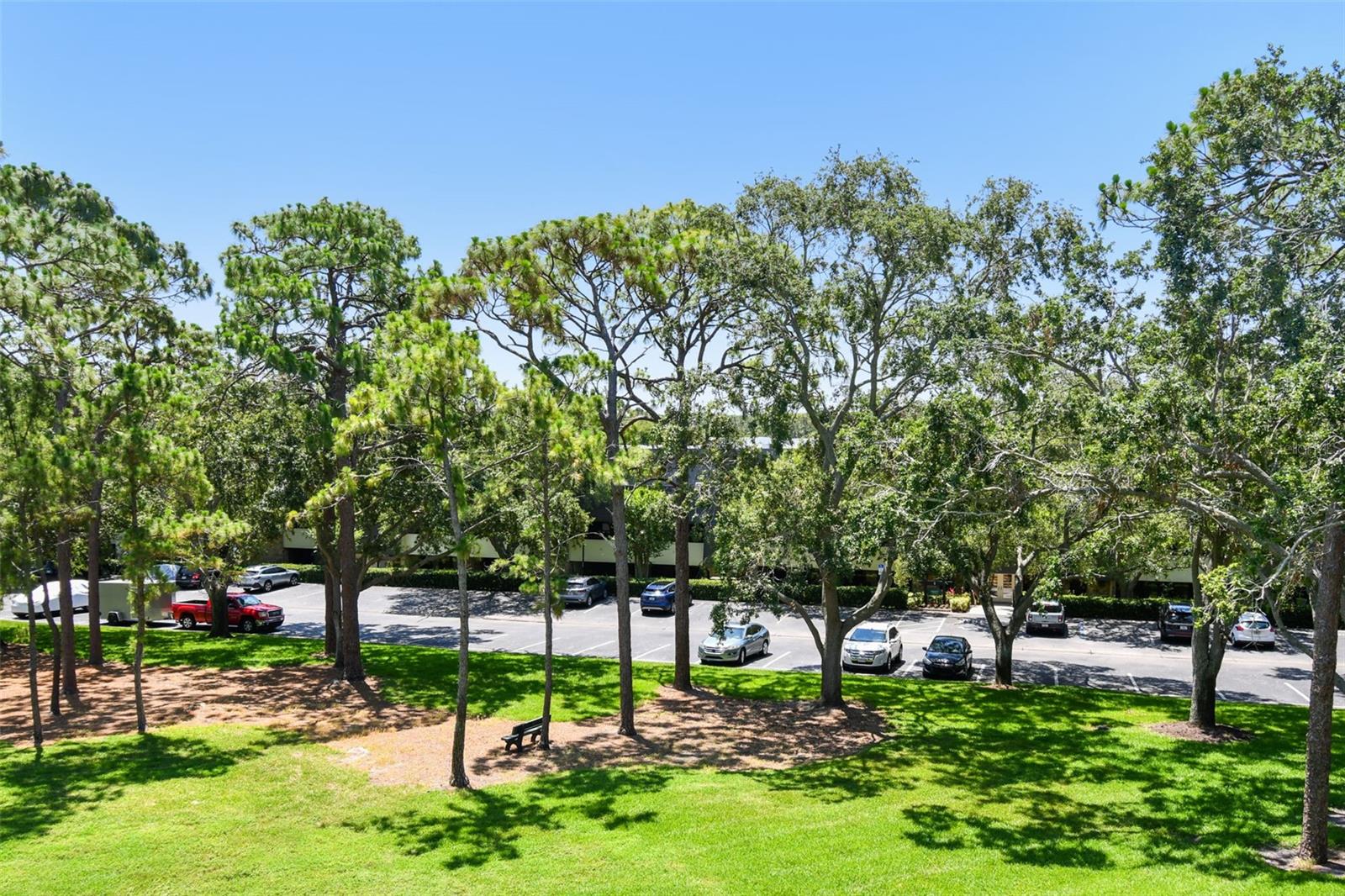 36750 US 19 N #15309 — photo 36