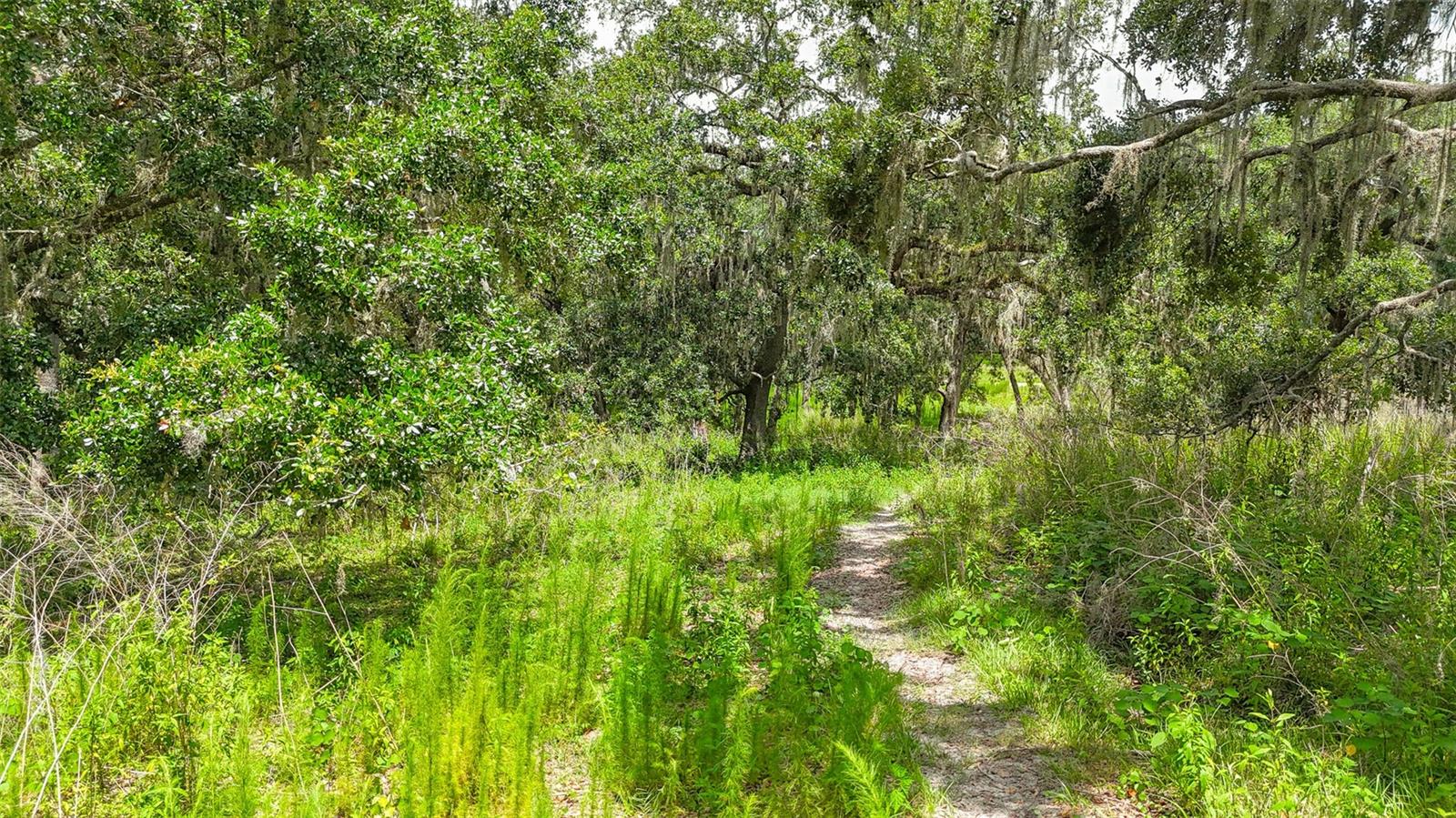 14435 CURLEY RD — photo 11