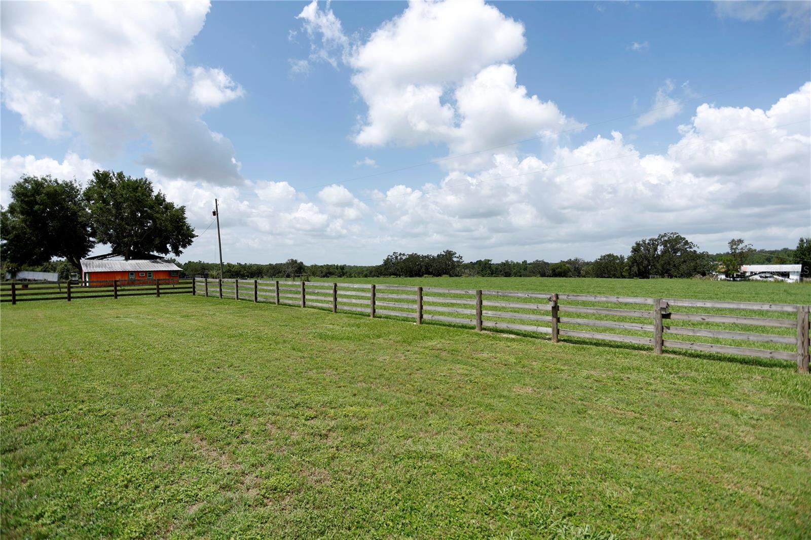 14435 CURLEY RD — photo 30