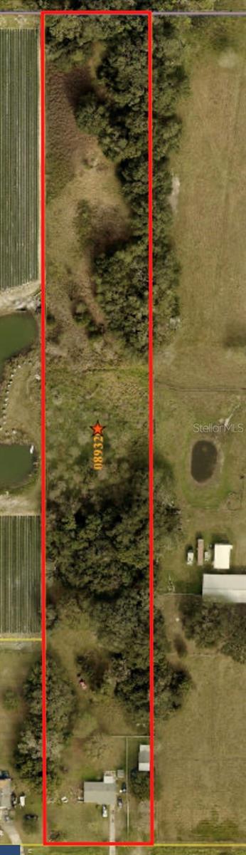 4316 E KNIGHTS GRIFFIN RD — photo 5