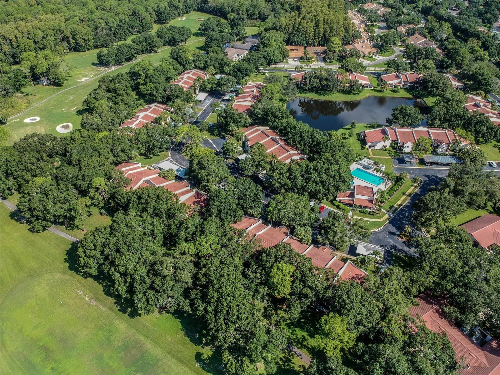 3476 TARPON WOODS BLVD — photo 50