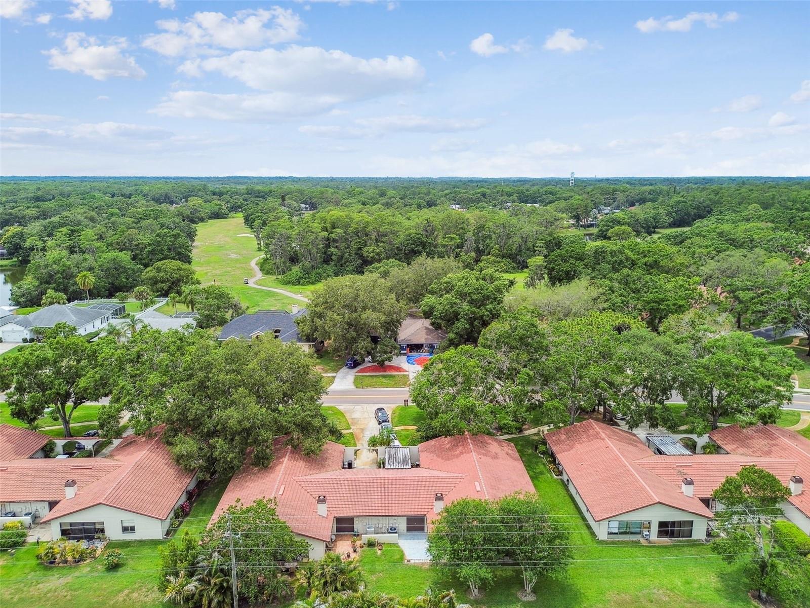 3476 TARPON WOODS BLVD — photo 49