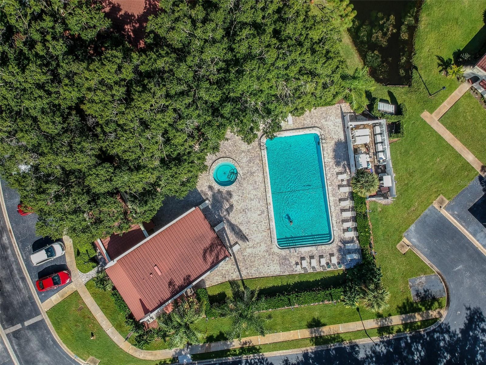 3476 TARPON WOODS BLVD — photo 54
