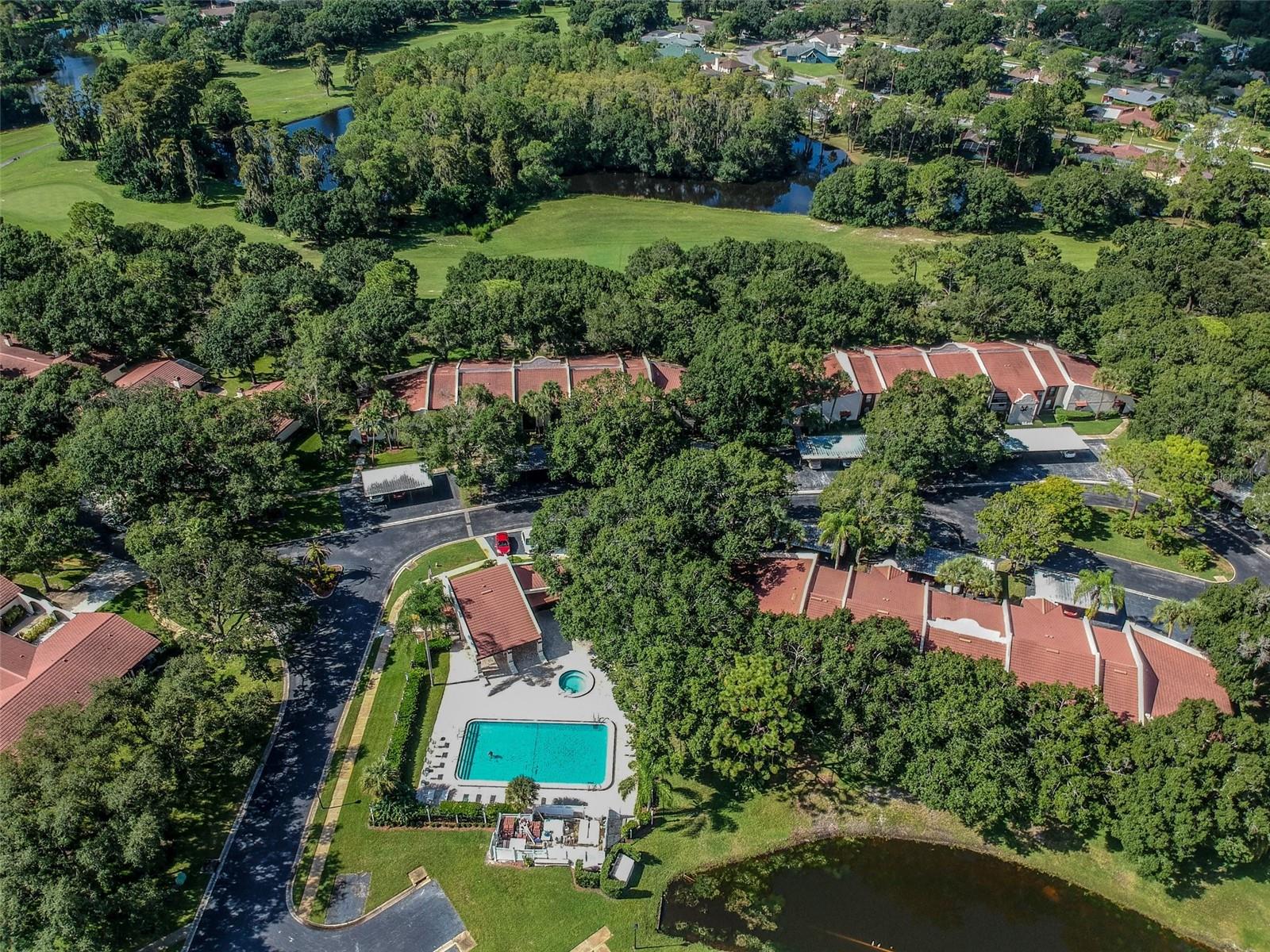 3476 TARPON WOODS BLVD — photo 52