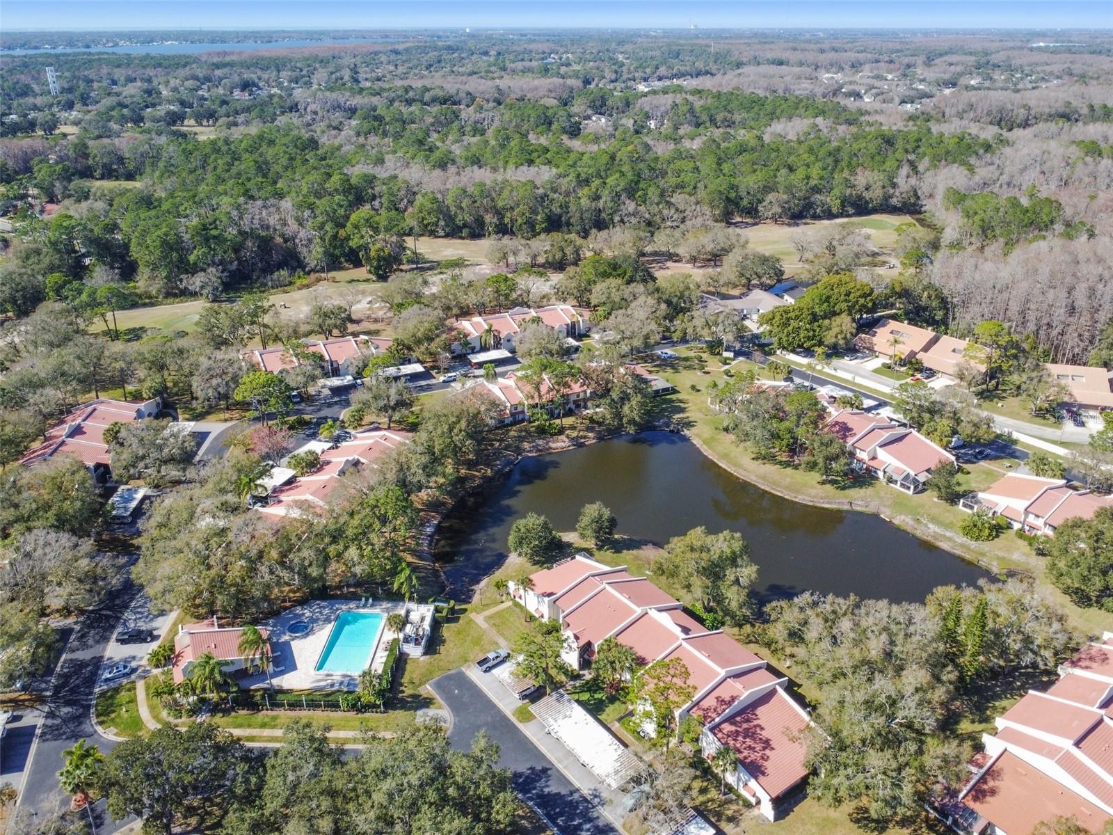 3476 TARPON WOODS BLVD — photo 51