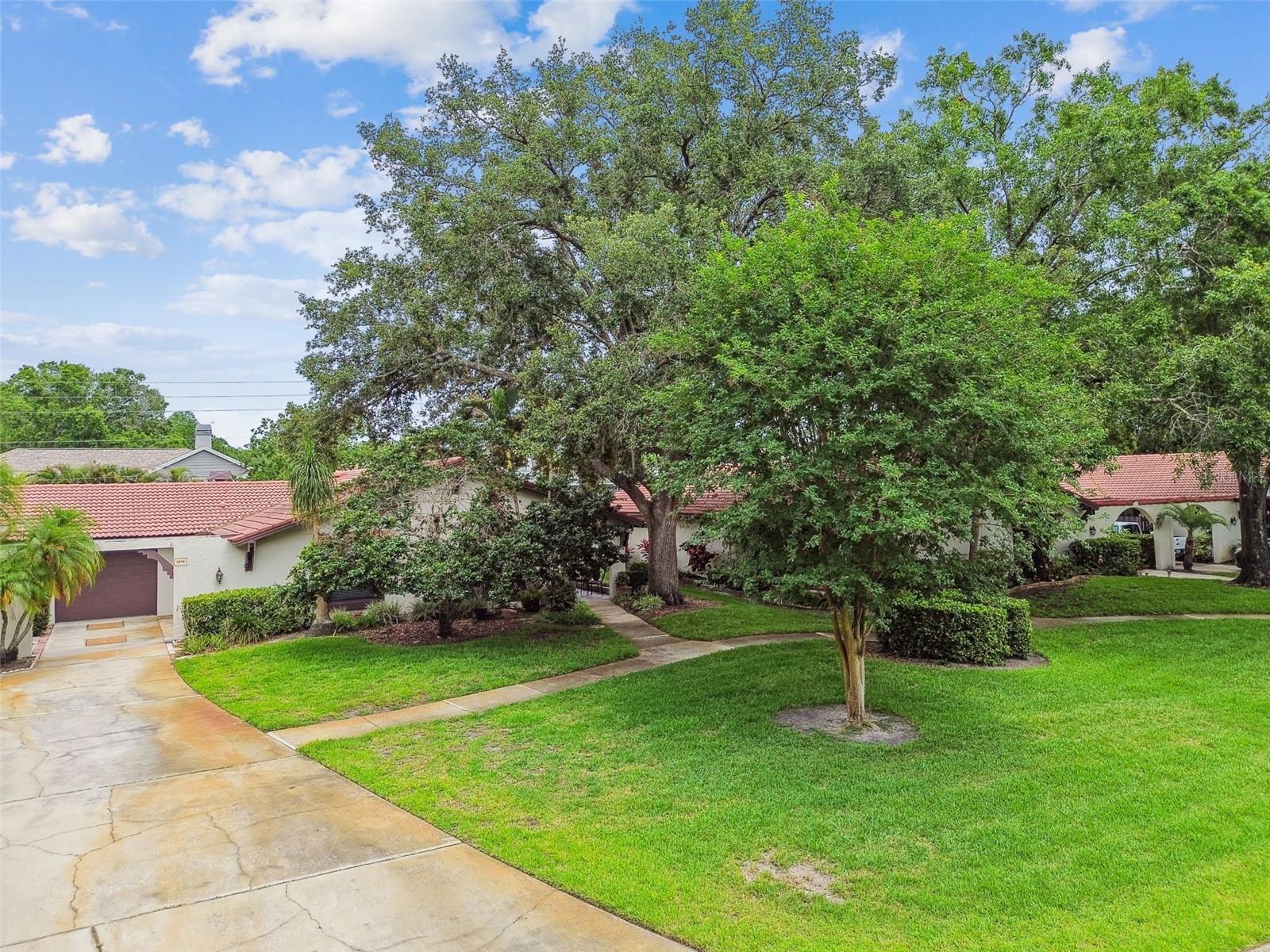 3476 TARPON WOODS BLVD — photo 47