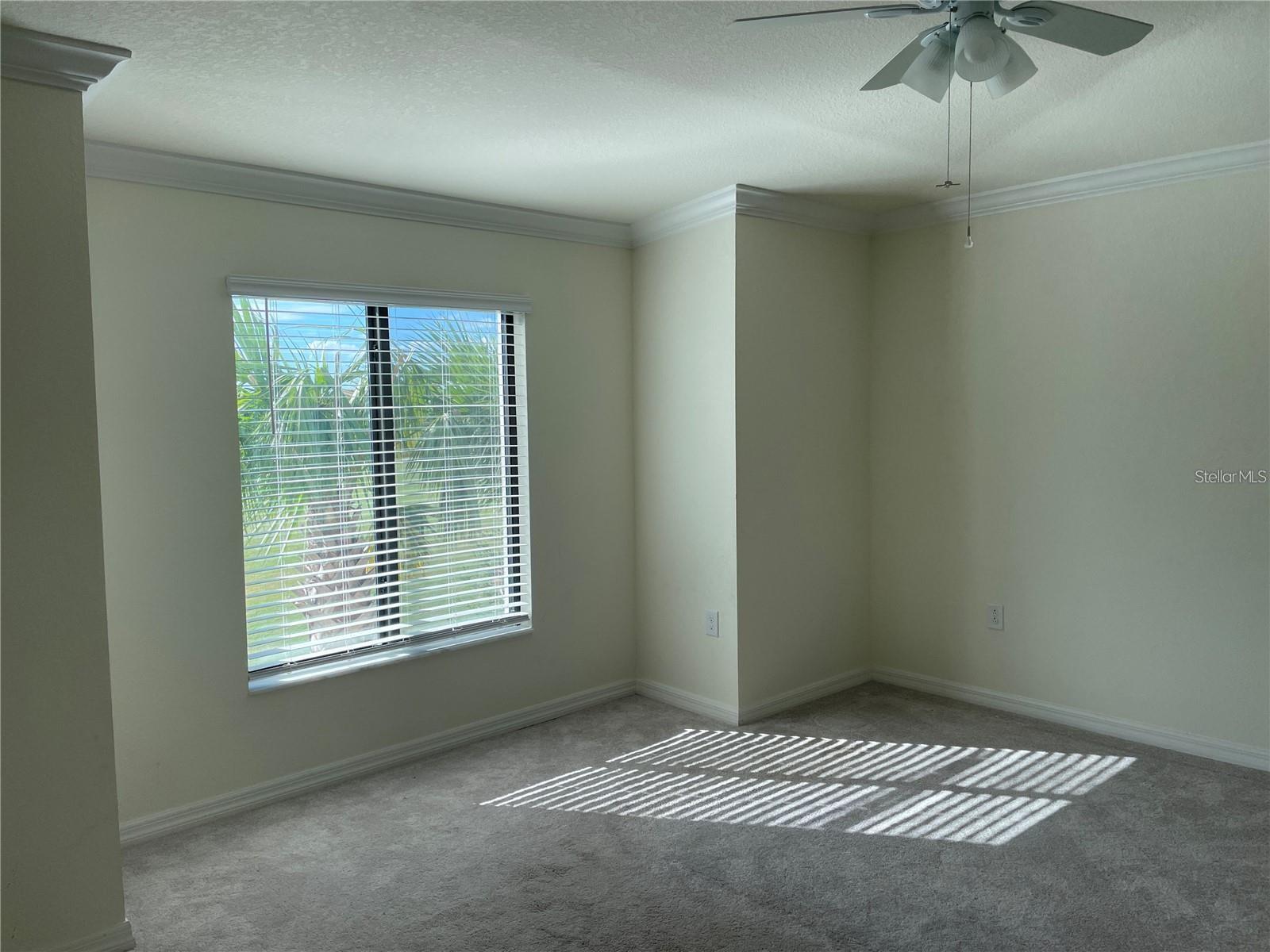 5674 PALMER CIR #206 — photo 11