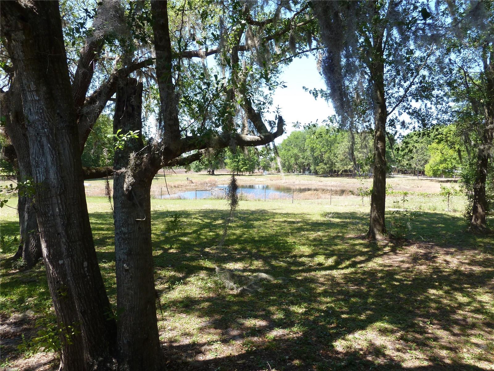 22839 BUNGALOW LN — photo 13
