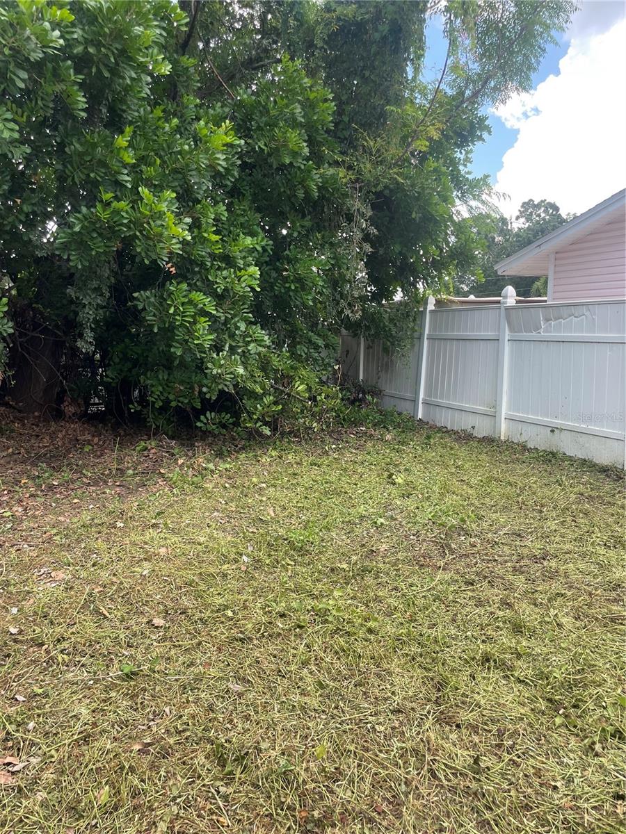 2445 WEBBER ST — photo 12
