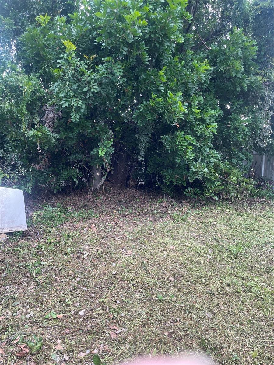 2445 WEBBER ST — photo 14