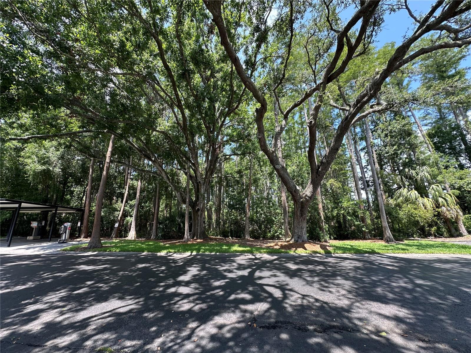 13709 JUNIPER BLOSSOM DR #0 — photo 27