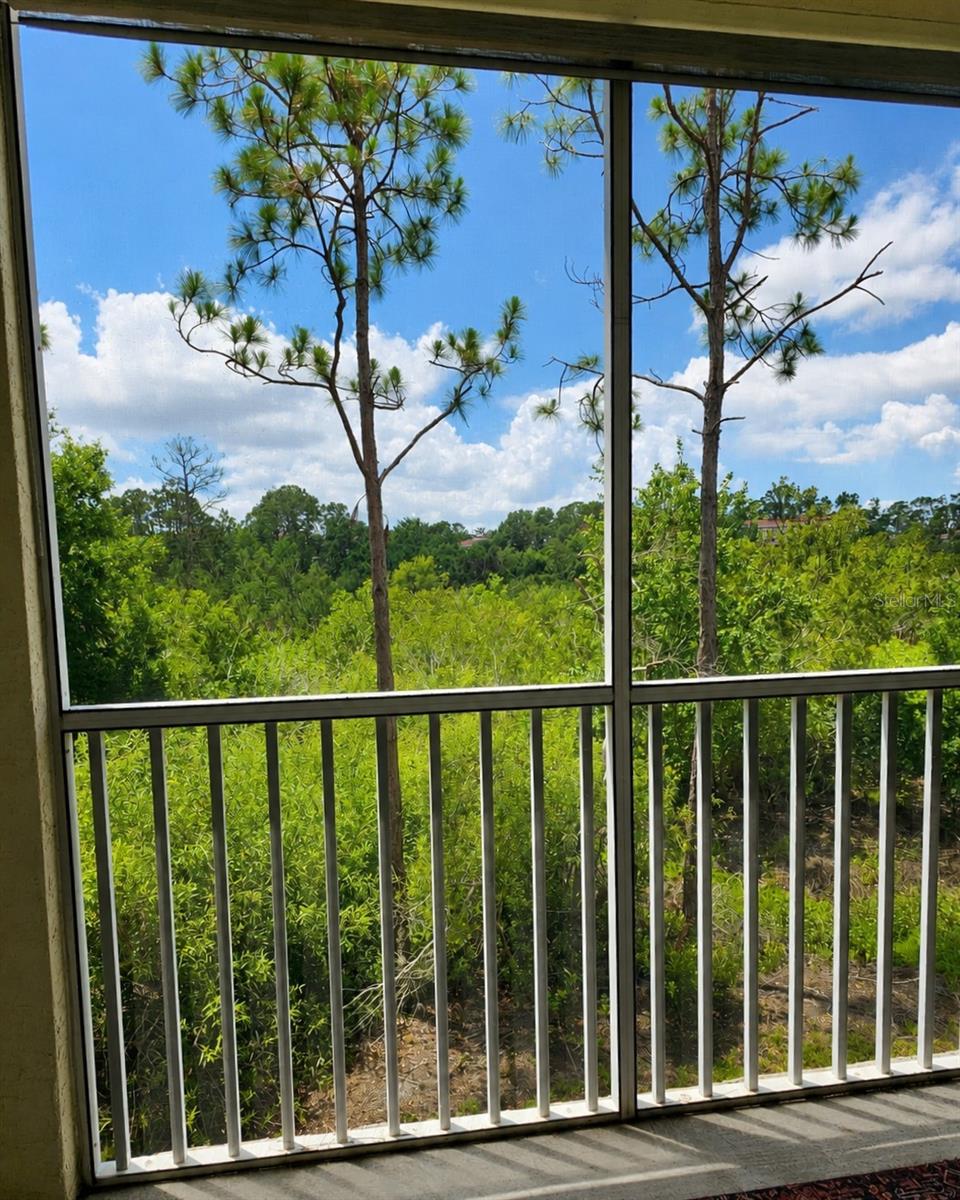 5711 BENTGRASS DR #19-203 — photo 17