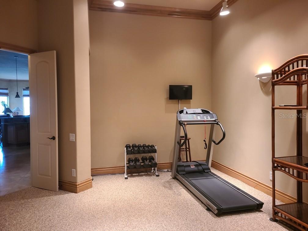 841 PONCE DE LEON DR — photo 39