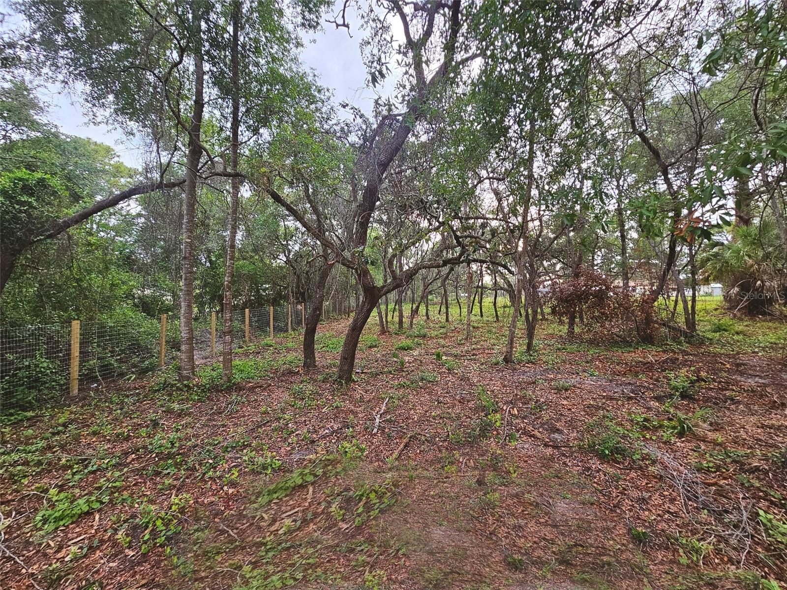 17132 RIDGELINE TRL — photo 11