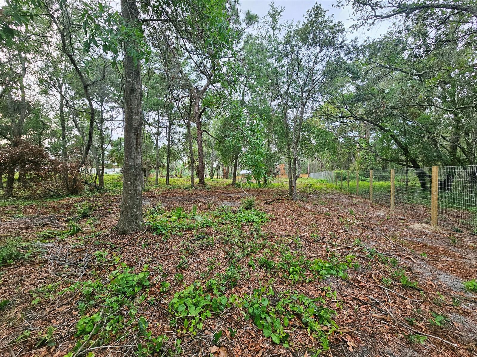 17132 RIDGELINE TRL — photo 6