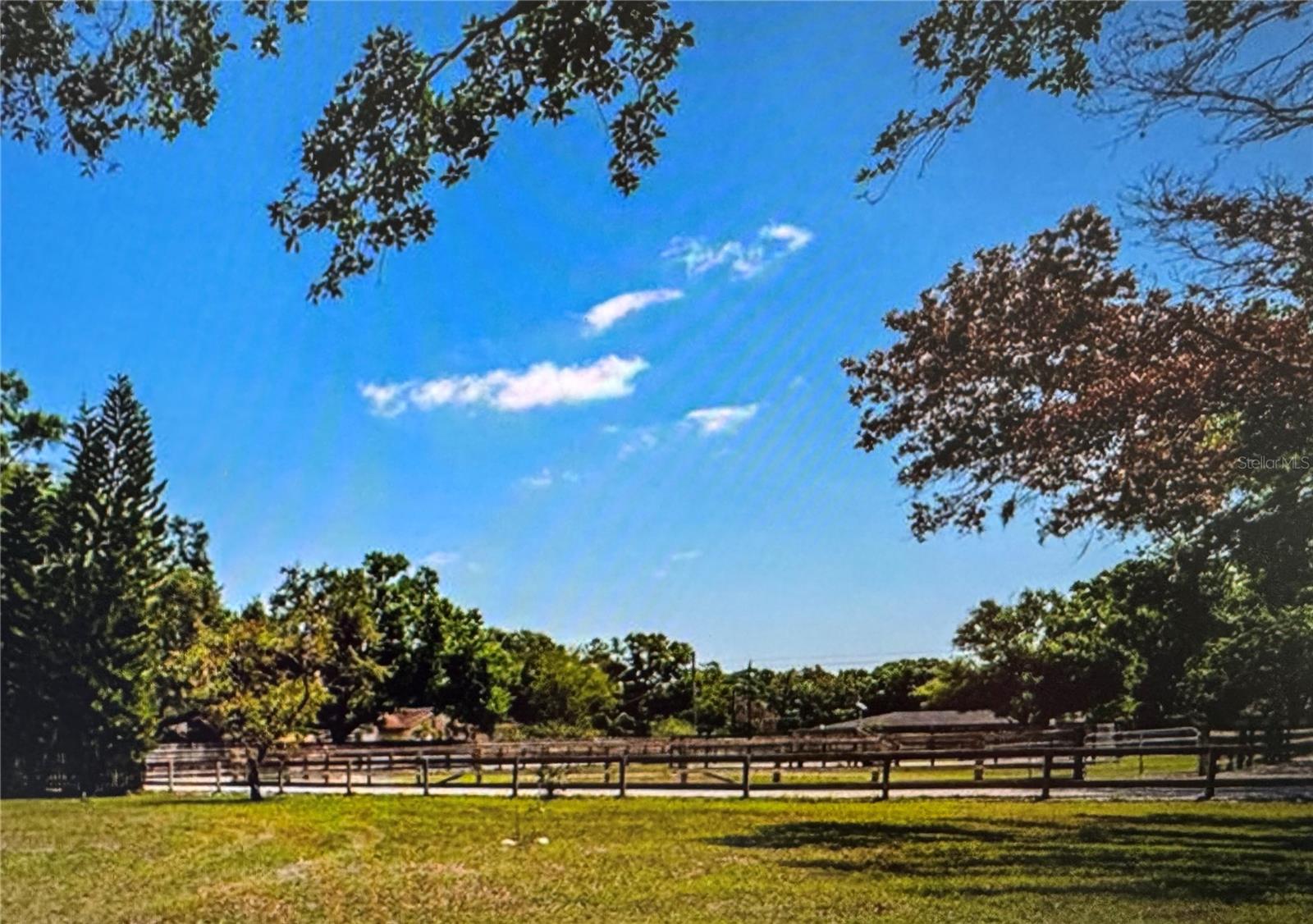 10520 HENDERSON RD — photo 4