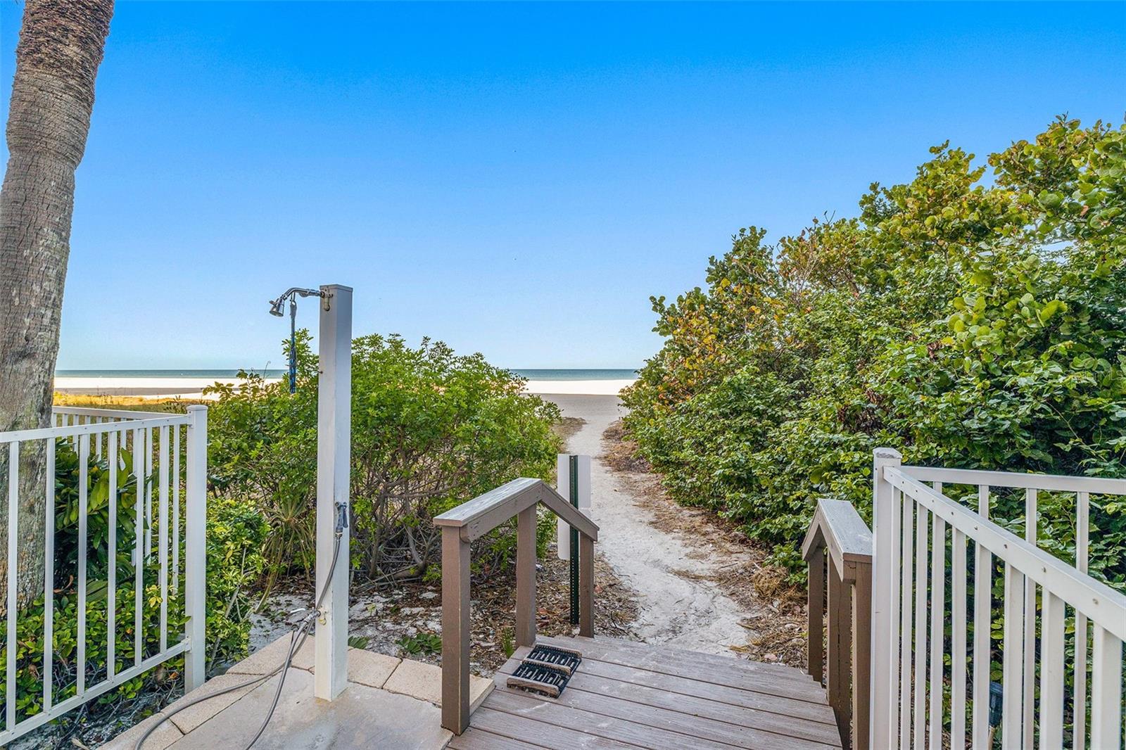 1310 GULF BLVD #10D — photo 31