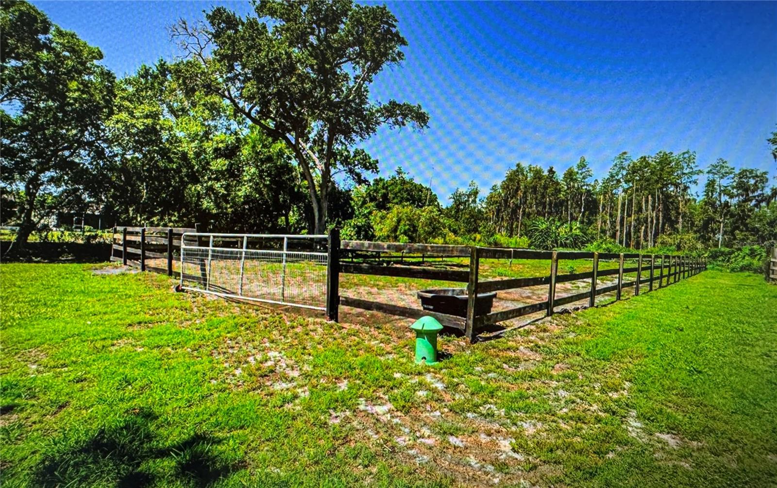10502 HENDERSON RD — photo 16