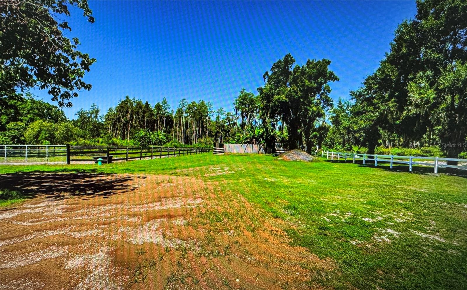 10502 HENDERSON RD — photo 13