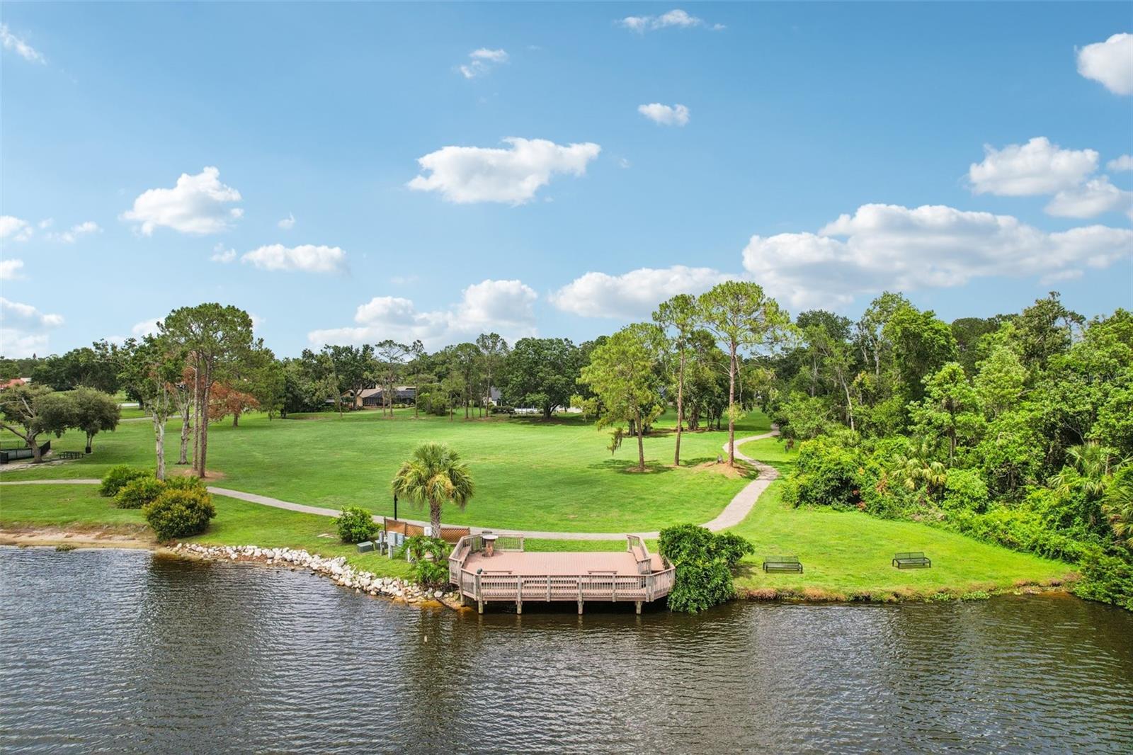 3062 SUTTON WOODS DR — photo 48