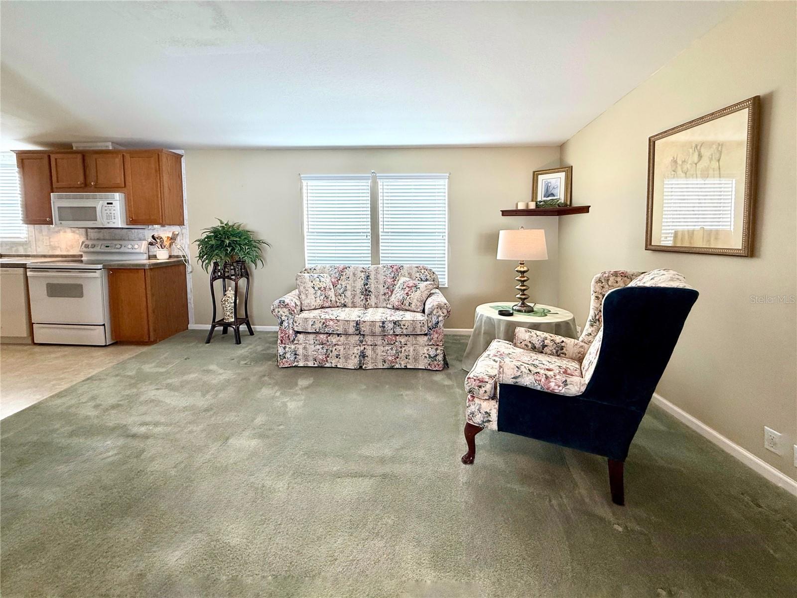 250 S PORT ROYAL LN — photo 4