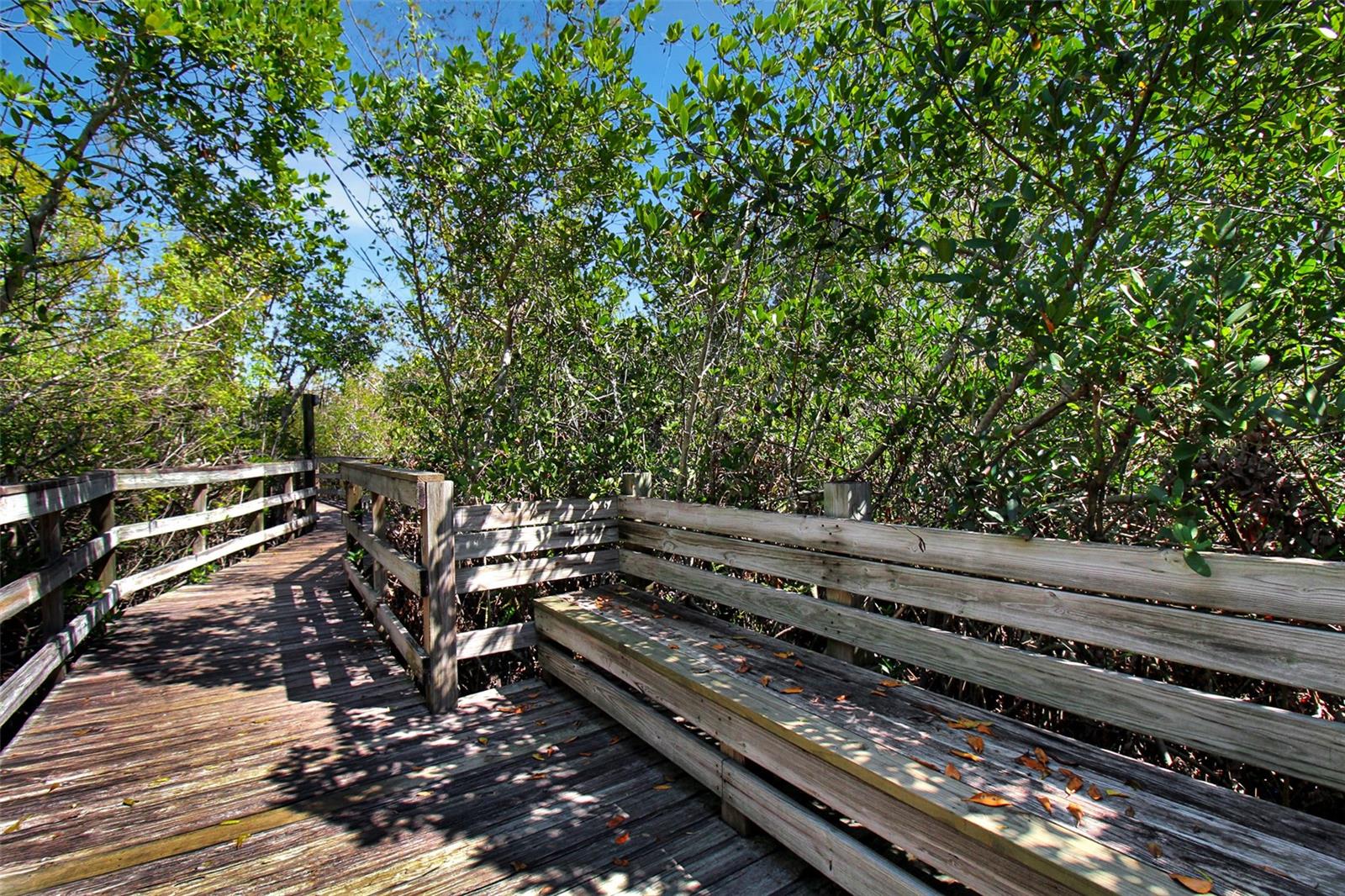 535 FOREST WAY — photo 48