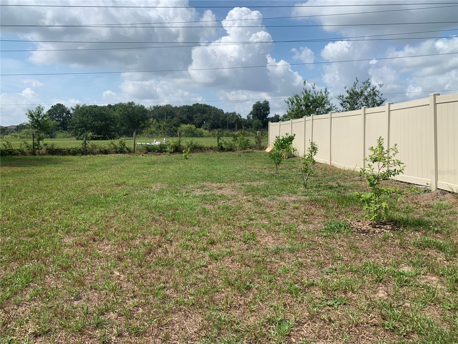11513 ANDY DR — photo 42