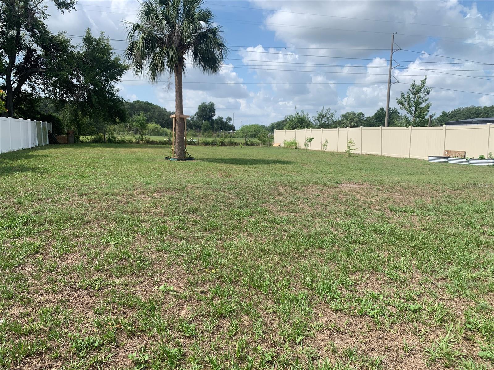 11513 ANDY DR — photo 41