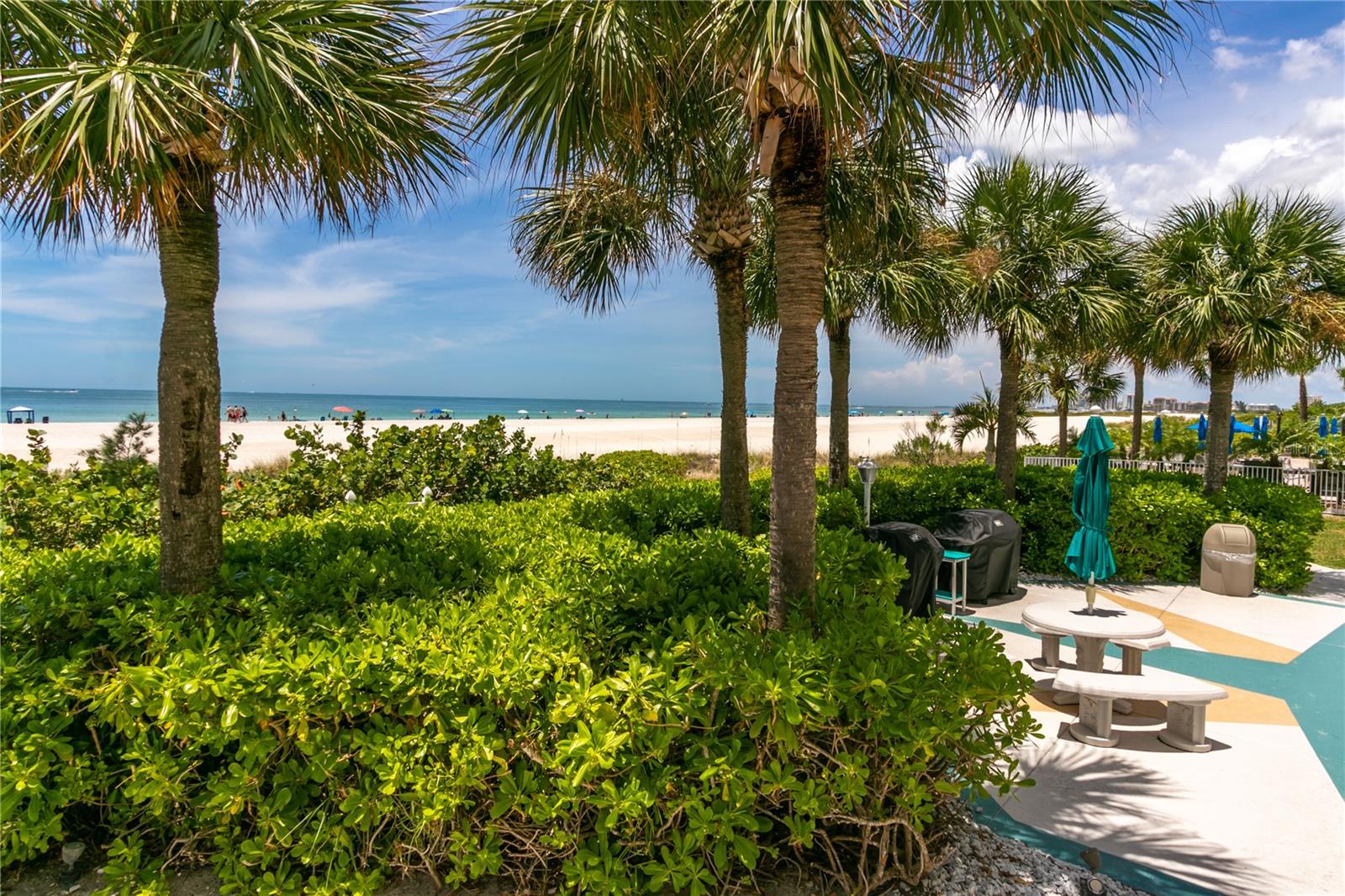 1380 GULF BLVD #805 — photo 47