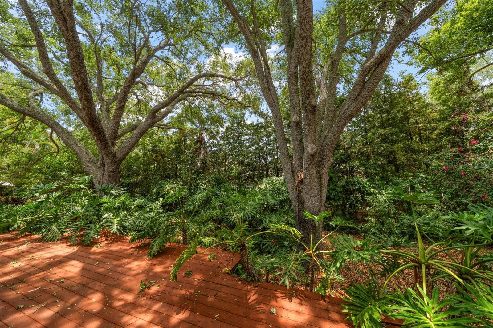 7 ROSERY LN — photo 57