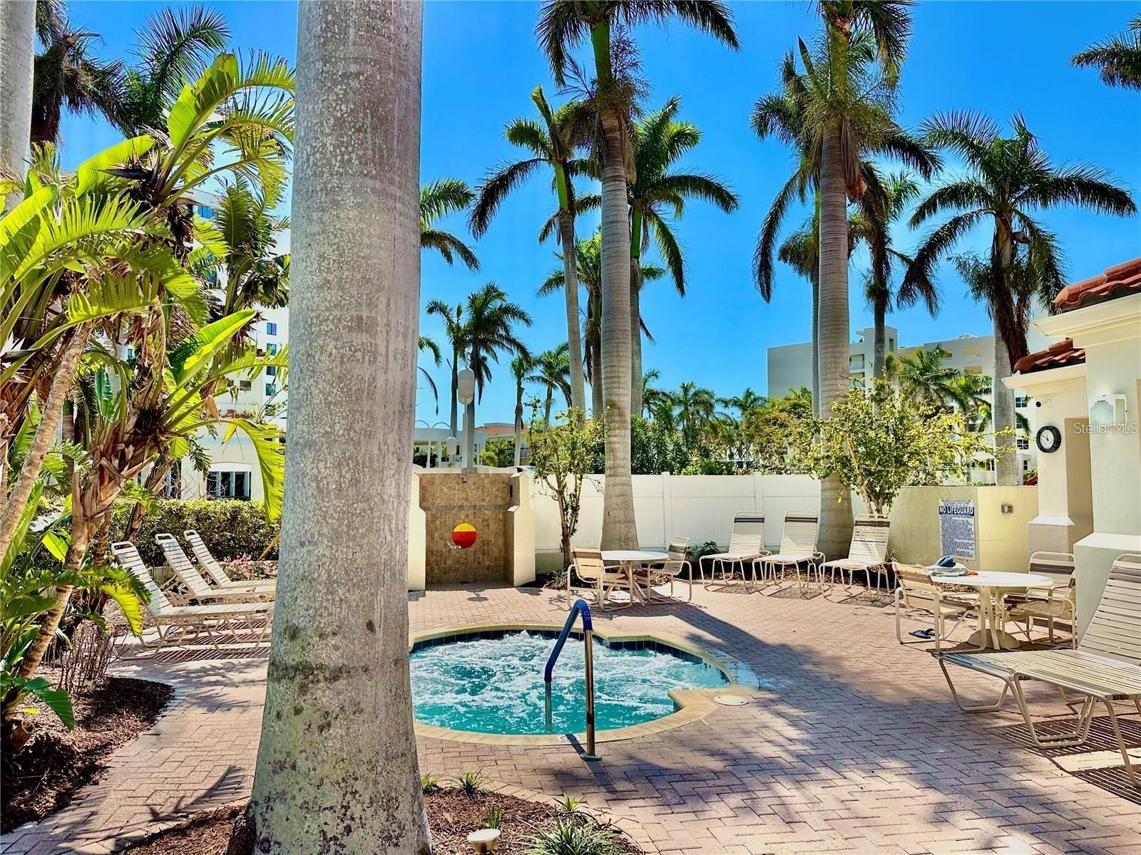 6105 BAHIA DEL MAR CIR #682 — photo 29