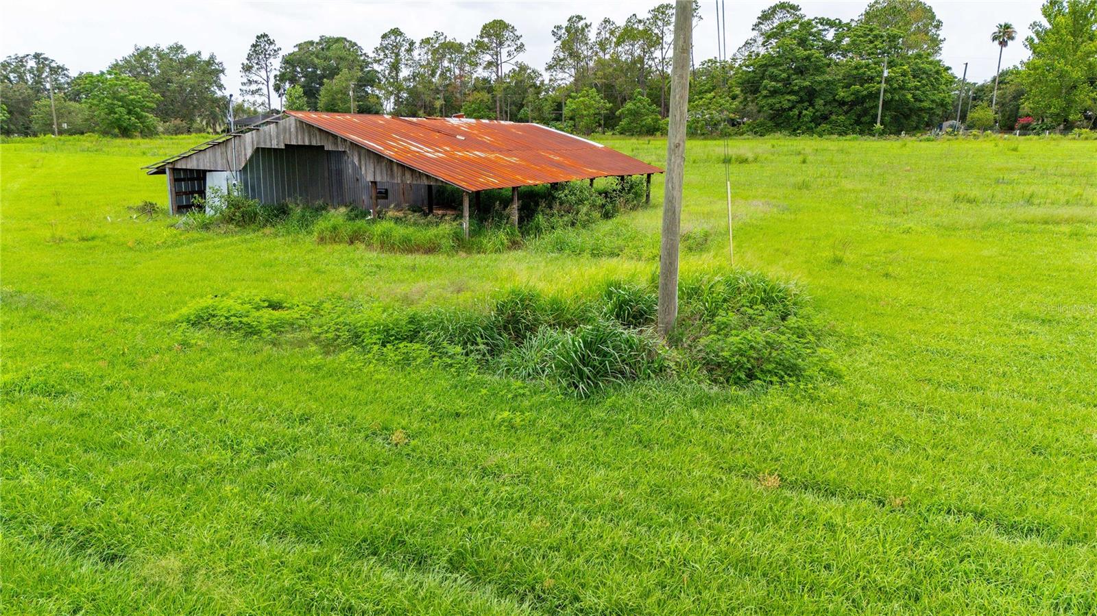 11025 BECKUM RD — photo 15