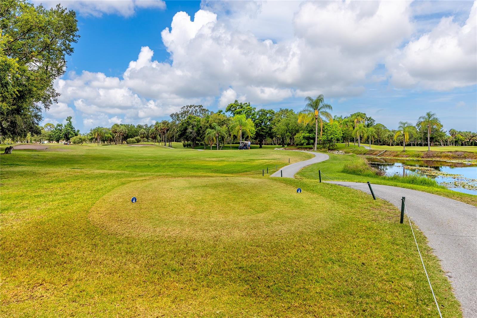 2621 COVE CAY DR #309 — photo 46