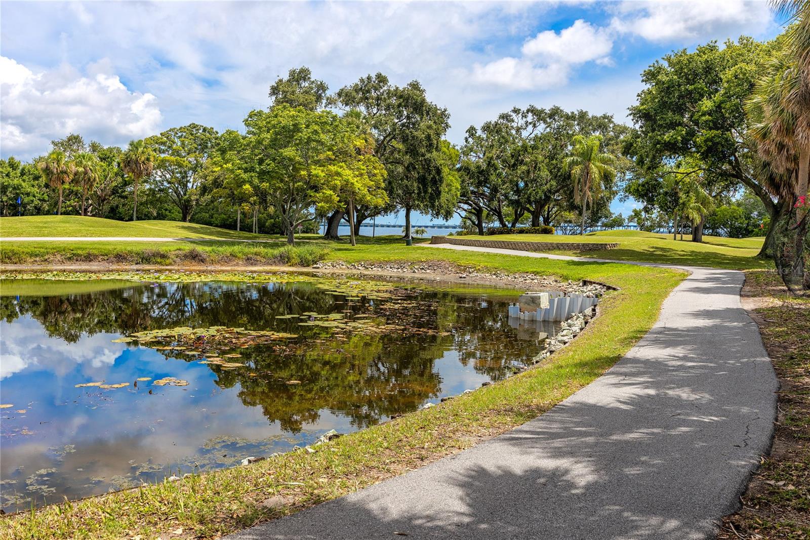 2621 COVE CAY DR #309 — photo 47