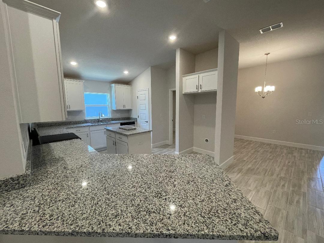 13374 OGDEN GLADE RD — photo 10