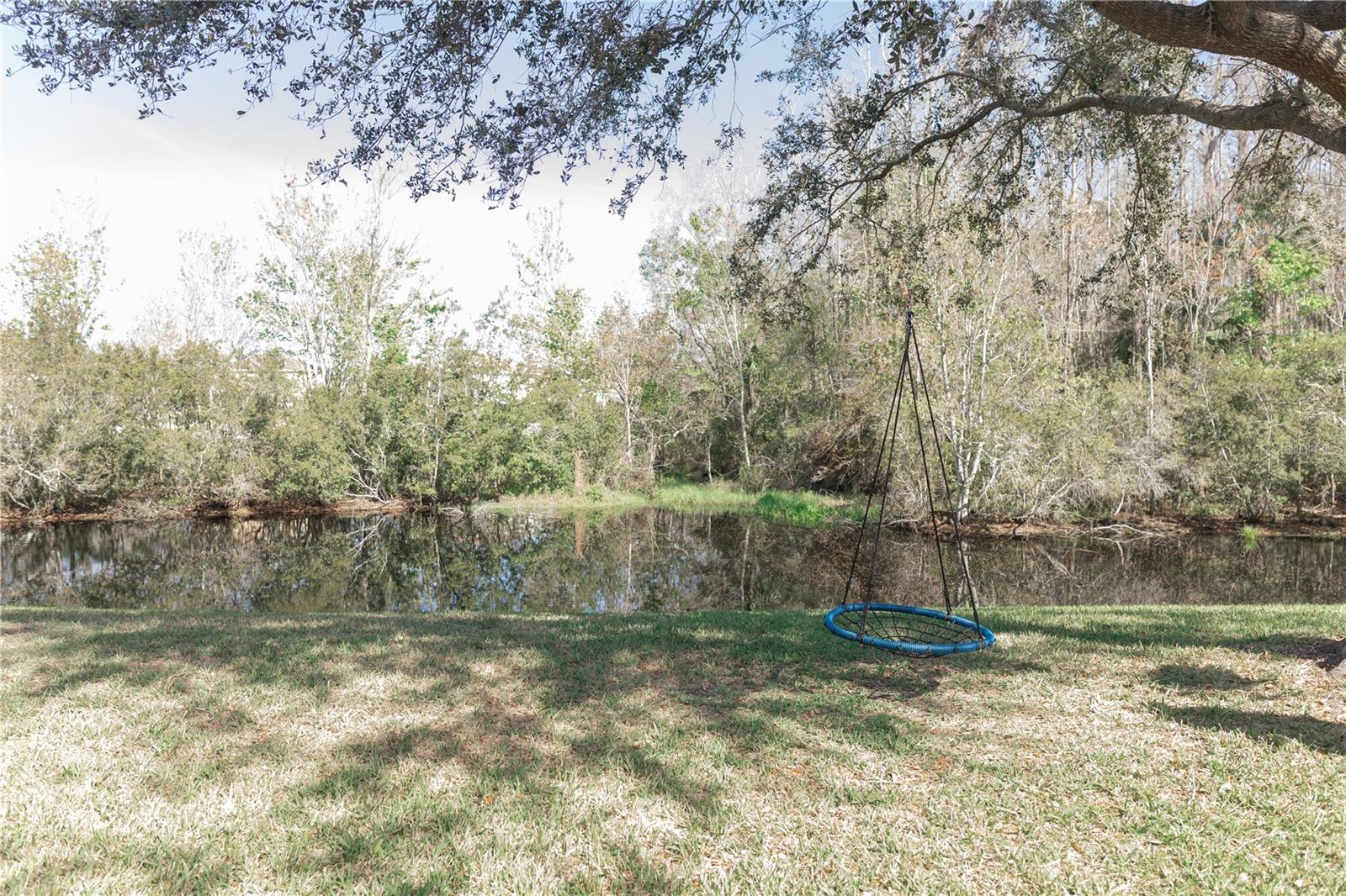 26620 SHOREGRASS DR — photo 35