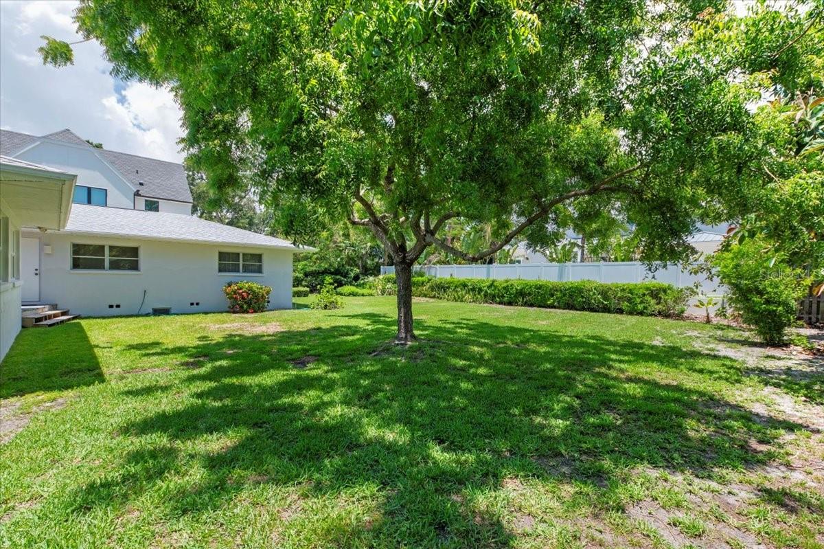 1541 FLOWER DR — photo 51
