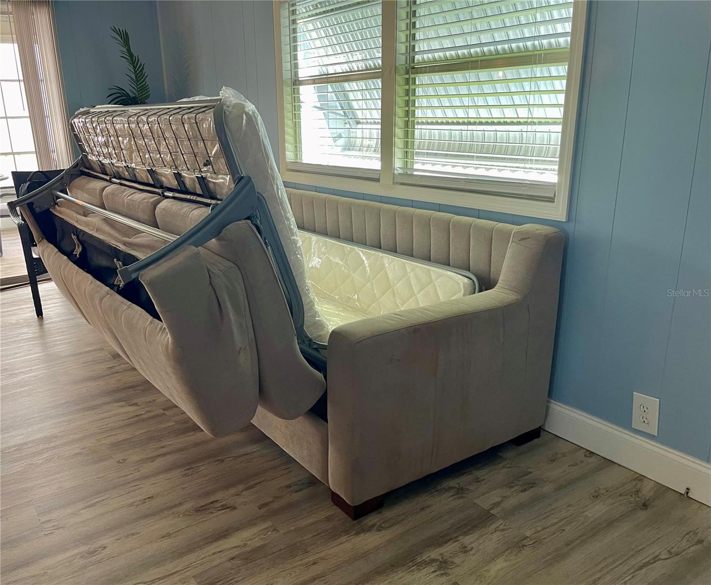 34645 CAMPHOR DR N — photo 11