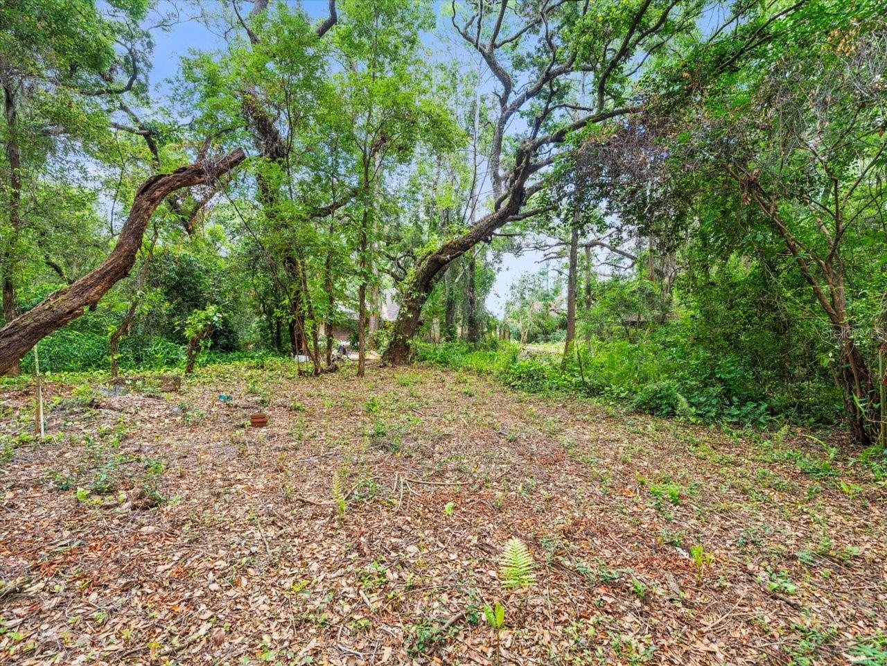 16035 CHASTAIN RD — photo 14