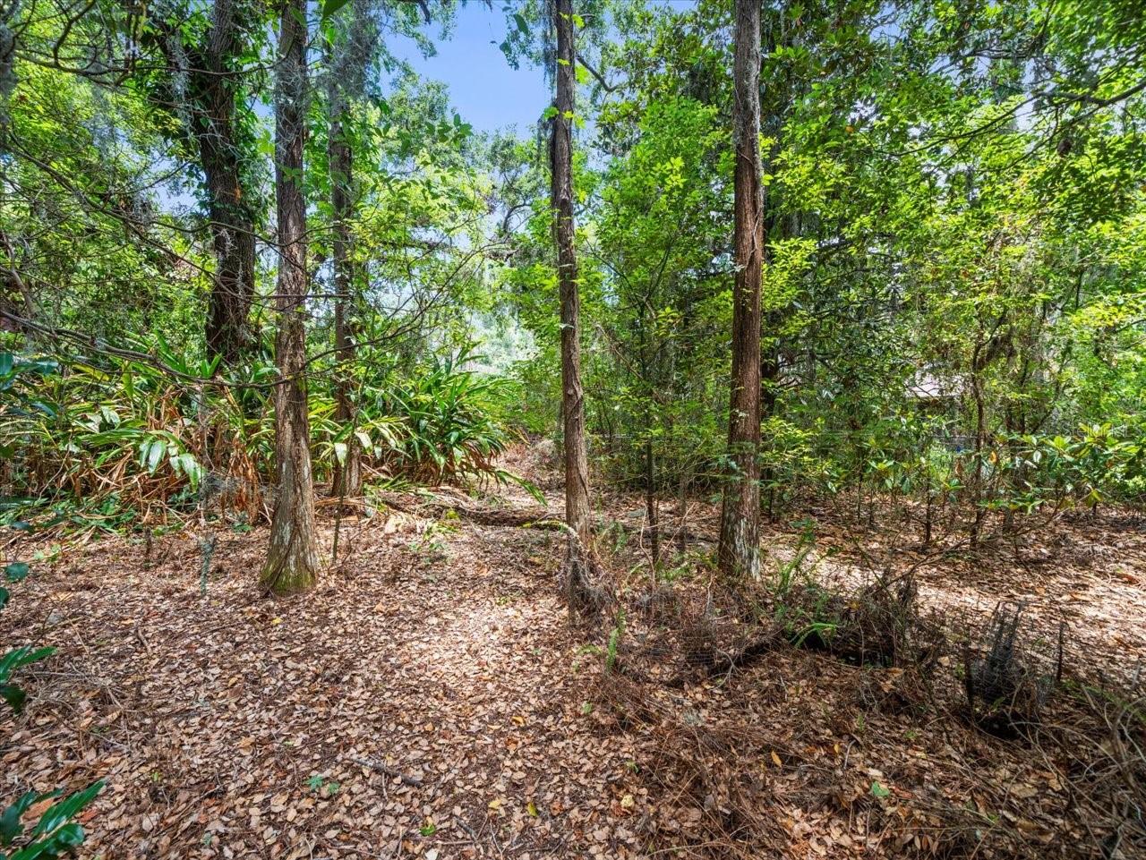 16035 CHASTAIN RD — photo 15
