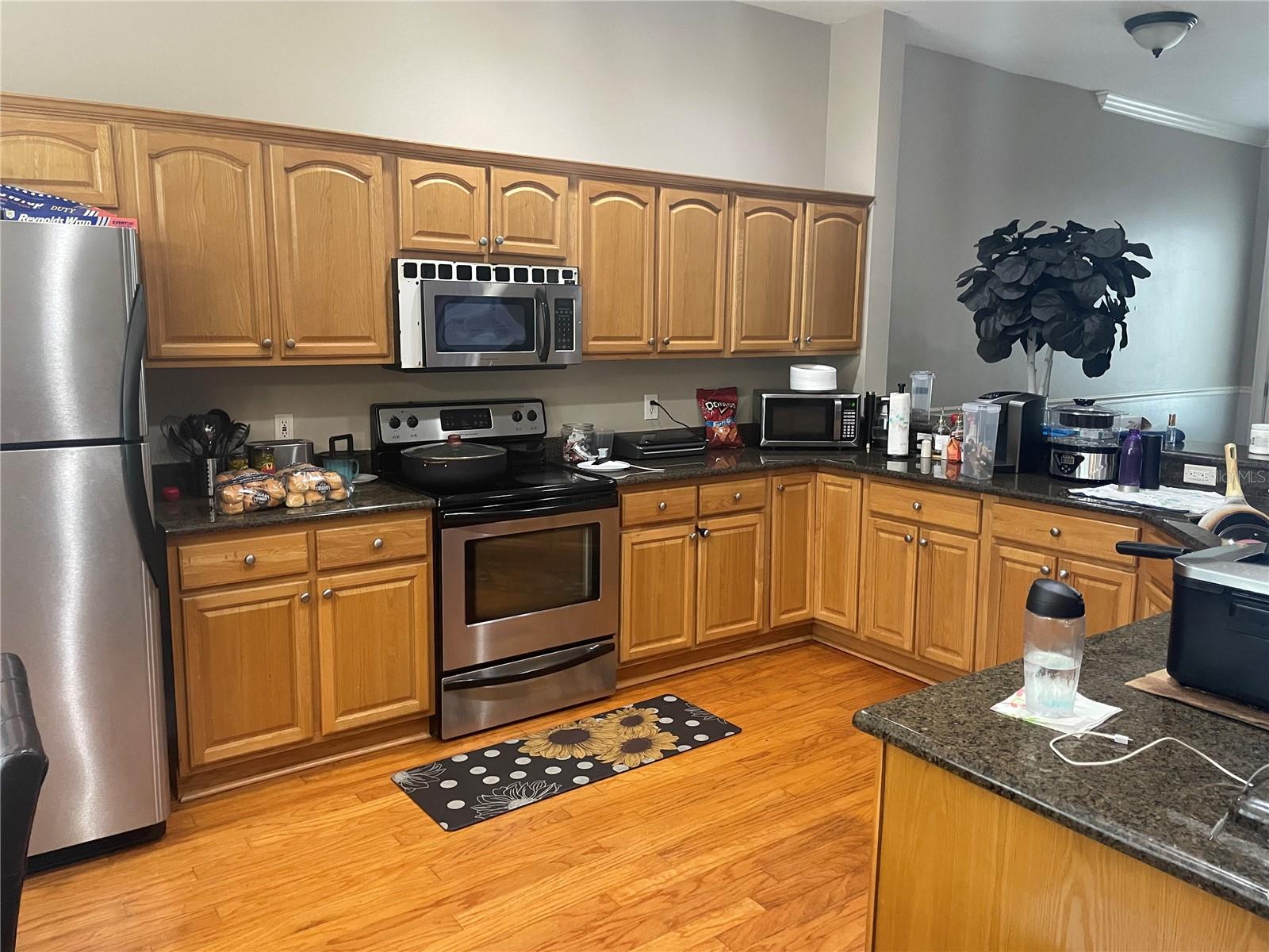 8405 COSTA BELLA WAY — photo 2