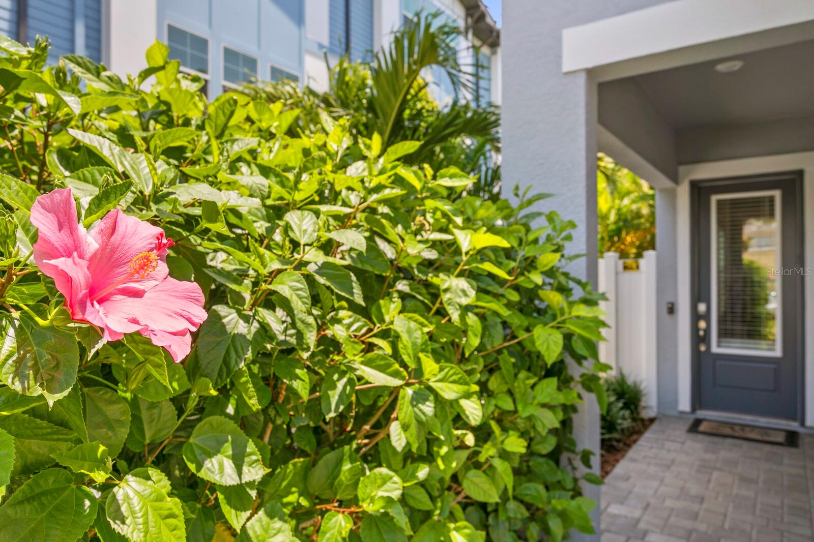 408 S MATANZAS AVE #1 — photo 4