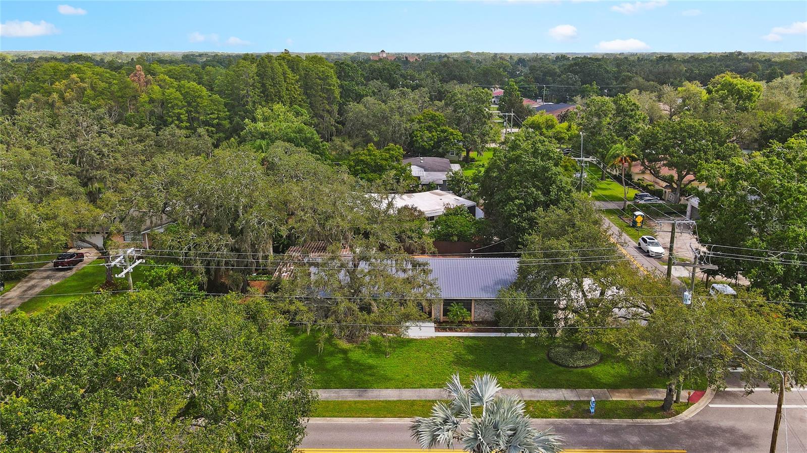 3011 LAKE ELLEN DR — photo 49