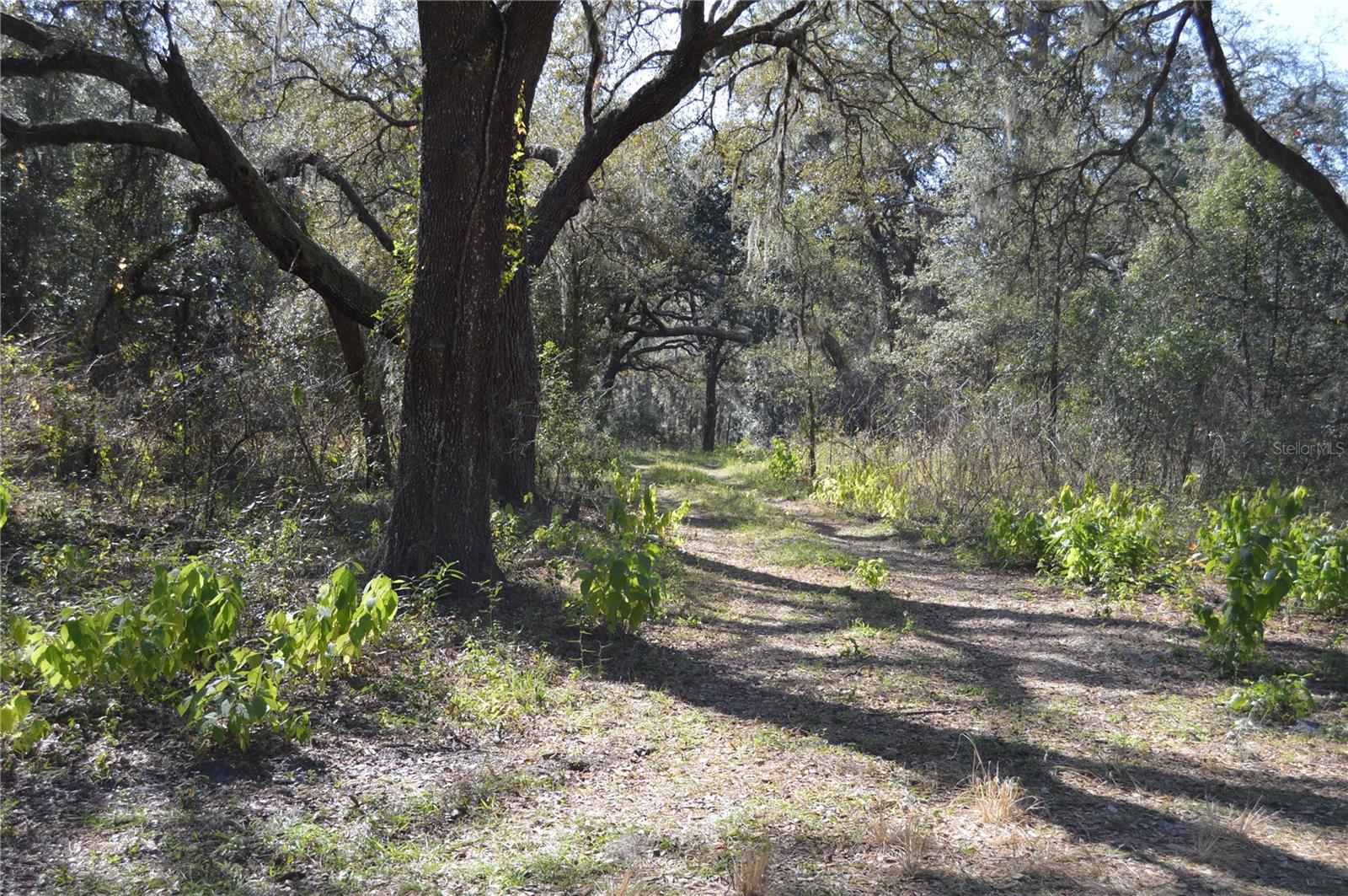 00 UNNAMED — photo 7