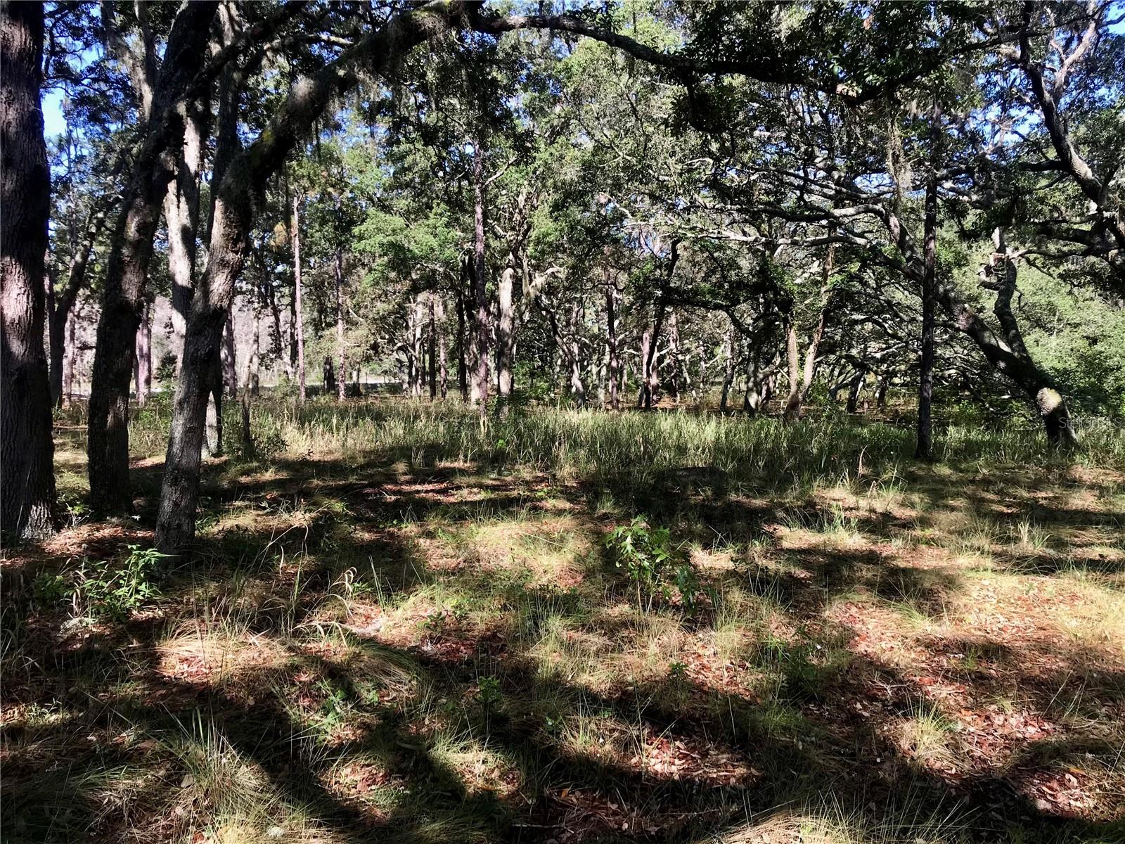 00 UNNAMED — photo 46