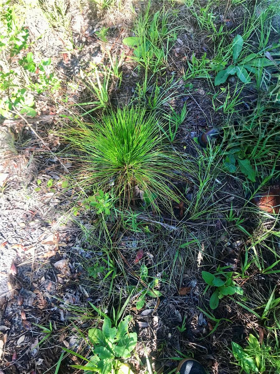 00 UNNAMED — photo 45