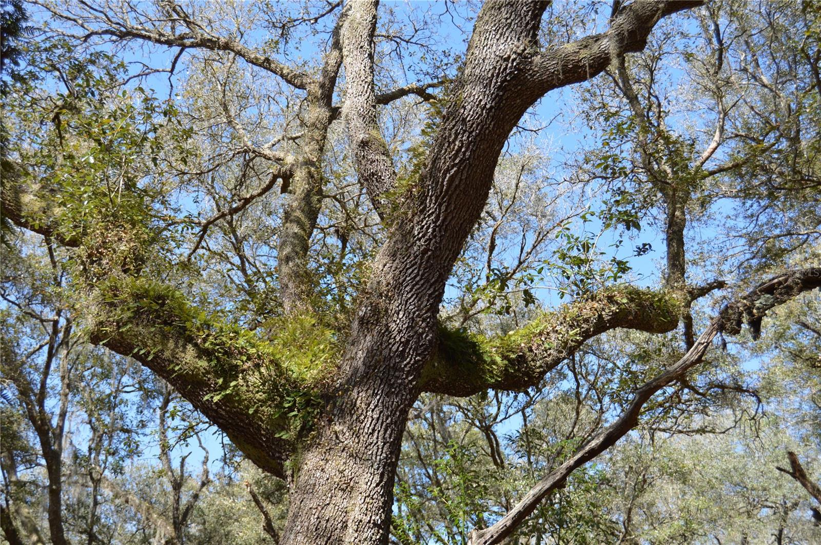 00 UNNAMED — photo 21