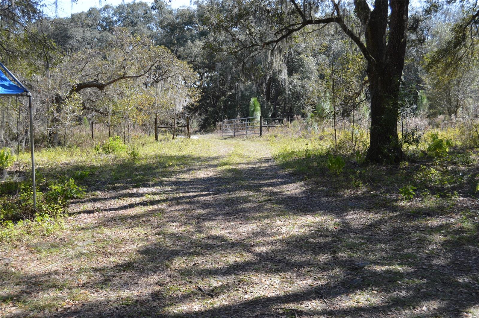 00 UNNAMED — photo 6