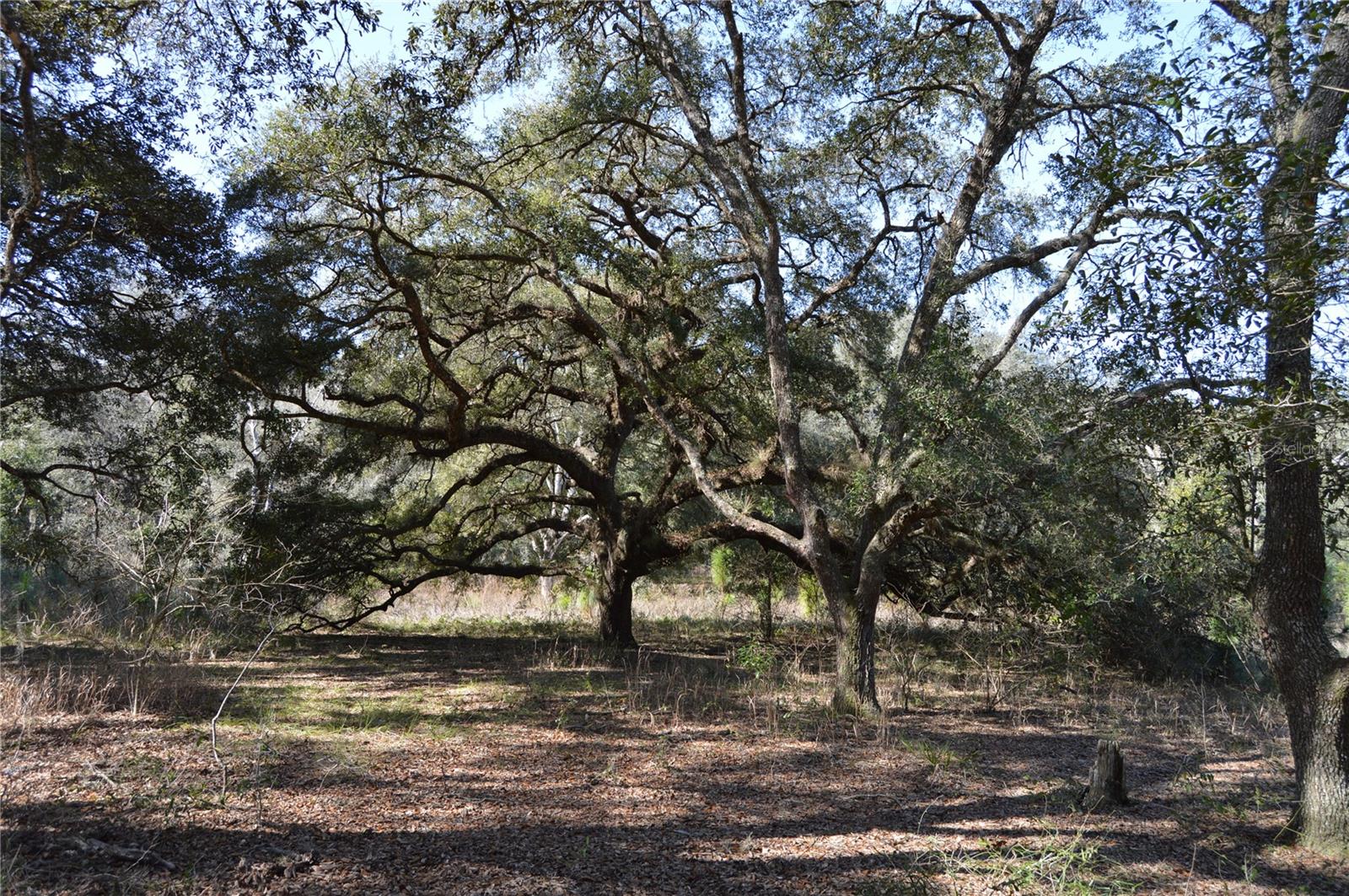 00 UNNAMED — photo 11
