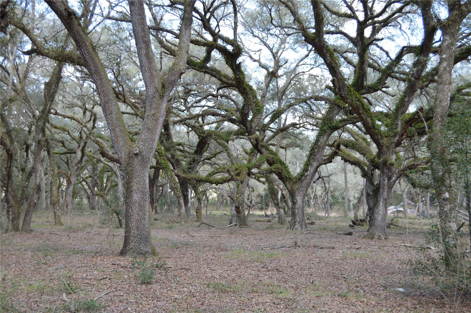 00 UNNAMED — photo 19